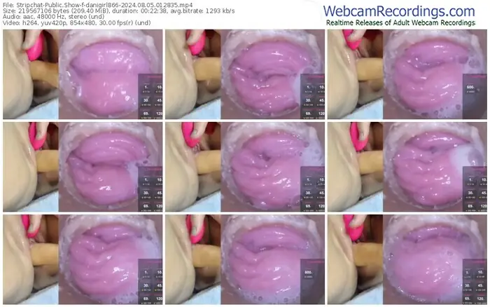 stripchat-danigirl866-08-05-2024-01-28-35