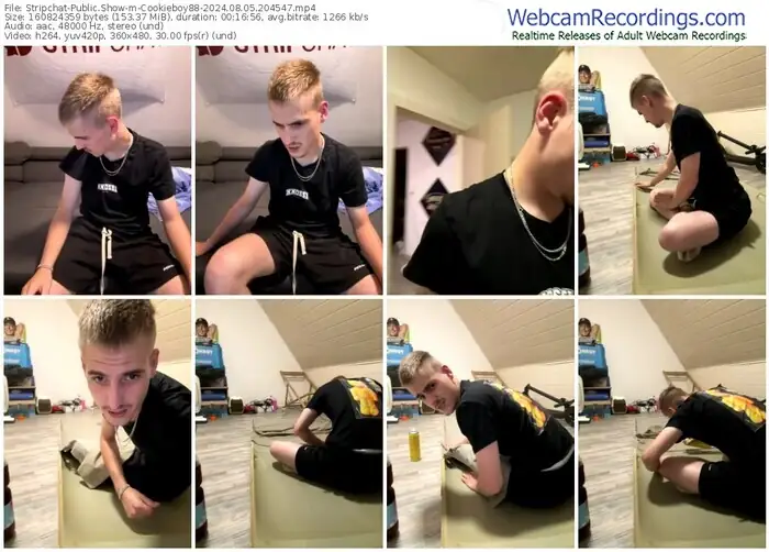 stripchat-cookieboy88-08-05-2024-20-45-47