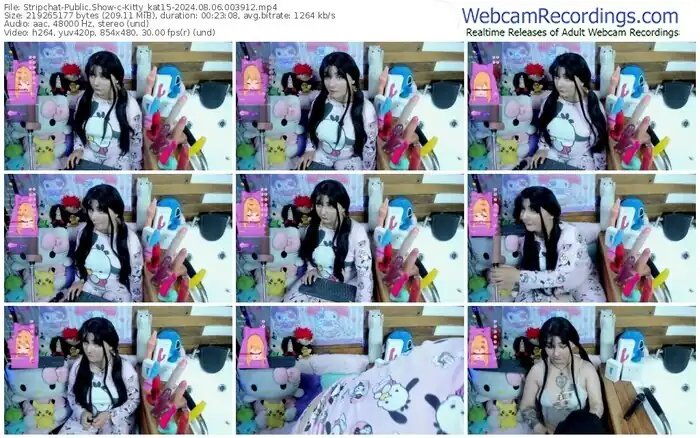 stripchat-kitty_kat15-08-06-2024-00-39-12