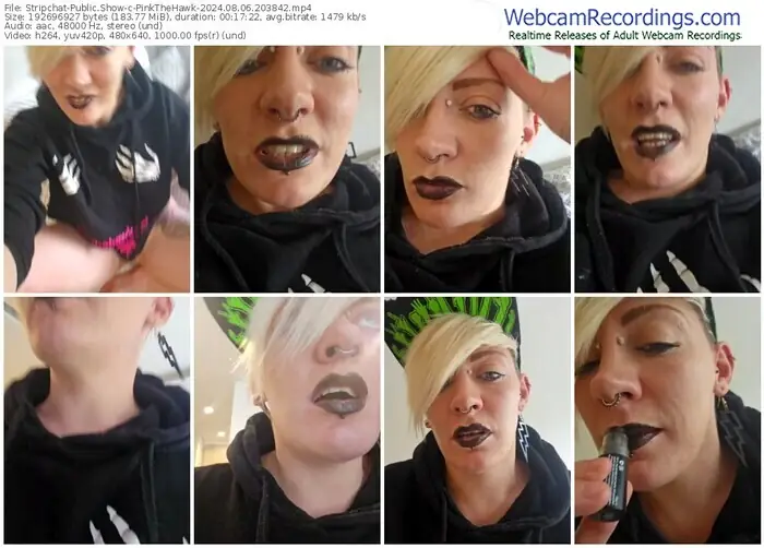 stripchat-pinkthehawk-08-06-2024-20-38-42