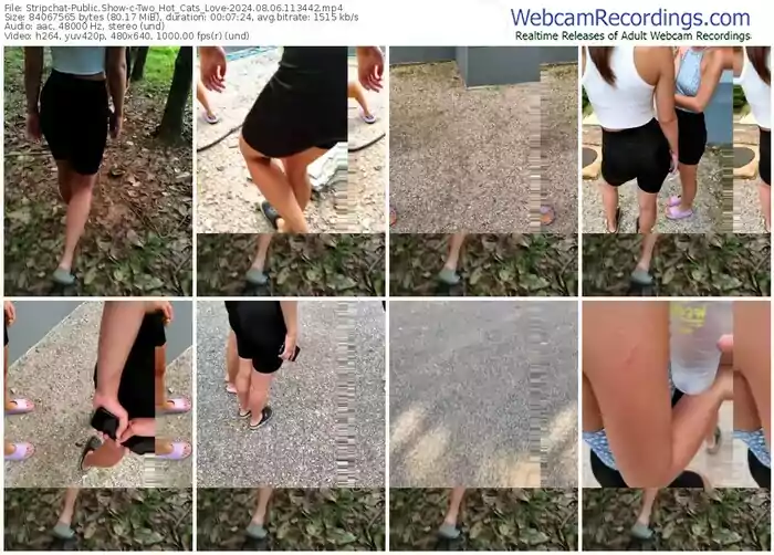stripchat-two_hot_cats_love-08-06-2024-11-34-42