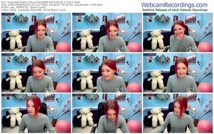 stripchat-tweet88-08-06-2024-17-26-13