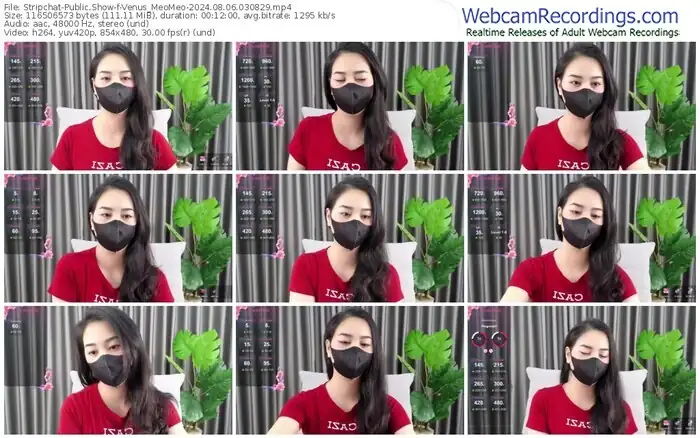 stripchat-venus_meomeo-08-06-2024-03-08-29