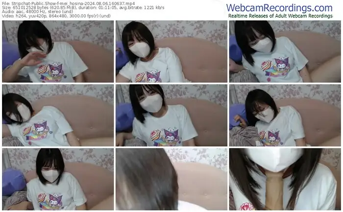 stripchat-mei_hosina-08-06-2024-16-06-37