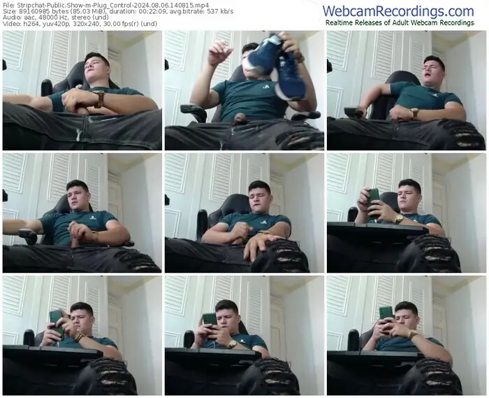 stripchat-plug_control-08-06-2024-14-08-15