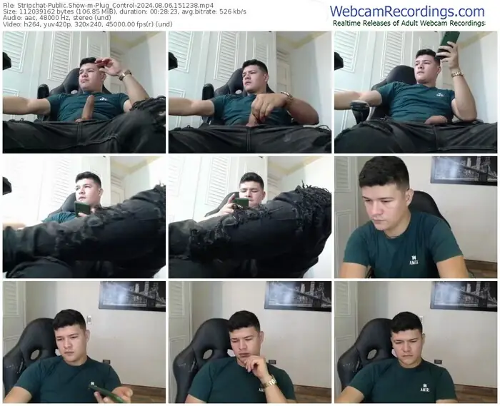 stripchat-plug_control-08-06-2024-15-12-38