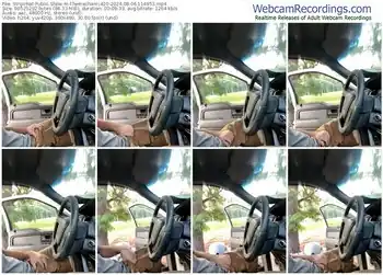 stripchat-themechanic420-08-06-2024-11-49-53