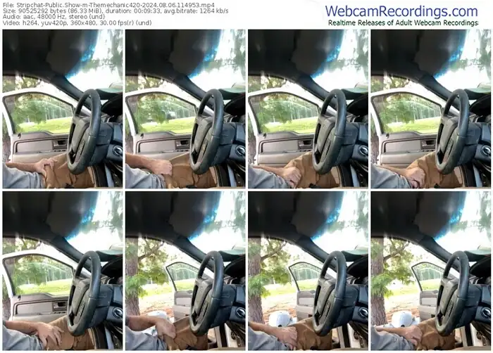 stripchat-themechanic420-08-06-2024-11-49-53