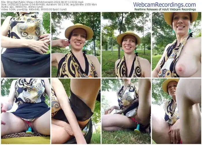 stripchat-exhibitionsplit-08-07-2024-11-31-02