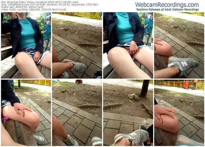 stripchat-snaibest-08-07-2024-16-10-51