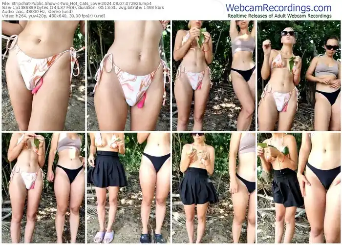 stripchat-two_hot_cats_love-08-07-2024-07-29-26