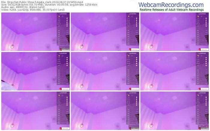 stripchat-agata_clark-08-07-2024-01-54-56