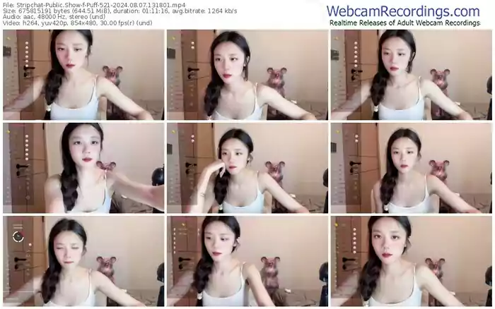 stripchat-puff-521-08-07-2024-13-18-01
