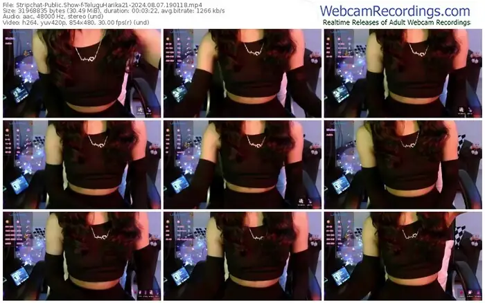 stripchat-teluguharika21-08-07-2024-19-01-18