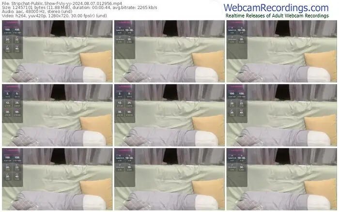 stripchat-viy-yy-08-07-2024-01-29-56