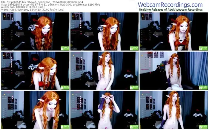 stripchat-_sparkland_-08-07-2024-02-56-36