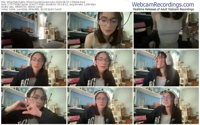 stripchat-jouleslovescocks-08-07-2024-13-59-49