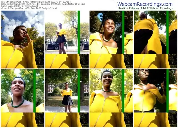 stripchat-streetdoll24-08-07-2024-13-44-03