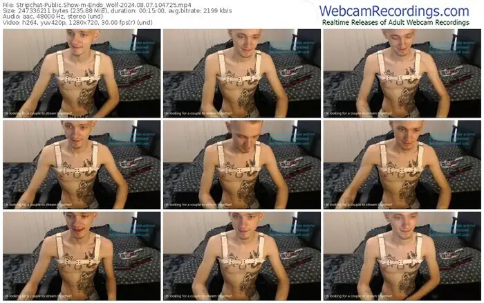 stripchat-endo_wolf-08-07-2024-10-47-25