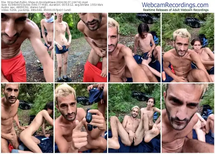 stripchat-nicolasmave-08-07-2024-16-47-42