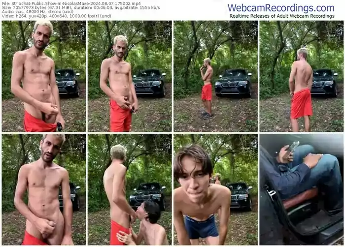 stripchat-nicolasmave-08-07-2024-17-50-02