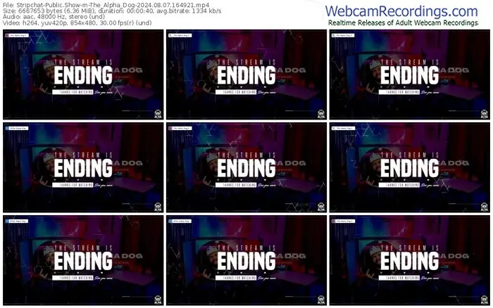 stripchat-the_alpha_dog-08-07-2024-16-49-21