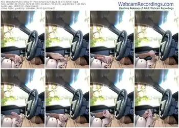 stripchat-themechanic420-08-07-2024-13-35-47