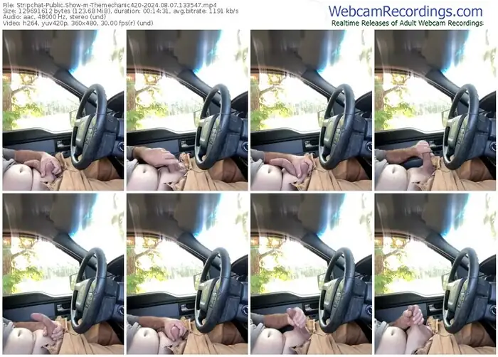 stripchat-themechanic420-08-07-2024-13-35-47