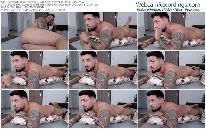 stripchat-_dylangreen-08-07-2024-11-58-59