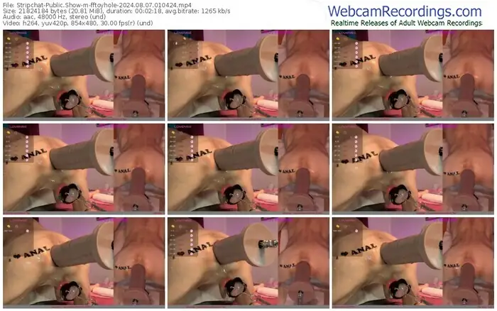 stripchat-fftoyhole-08-07-2024-01-04-24