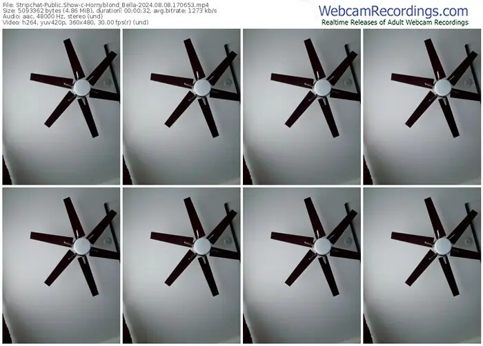 stripchat-hornyblond_bella-08-08-2024-17-06-53