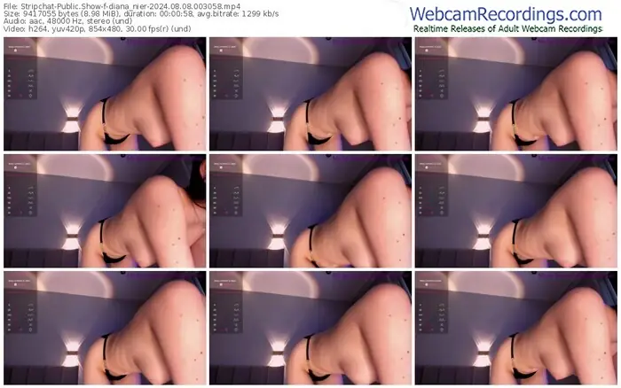 stripchat-diana_nier-08-08-2024-00-30-58