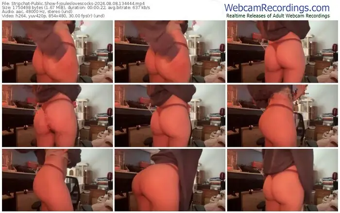 stripchat-jouleslovescocks-08-08-2024-13-44-44