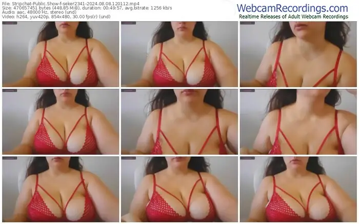 stripchat-seker2341-08-08-2024-12-01-12