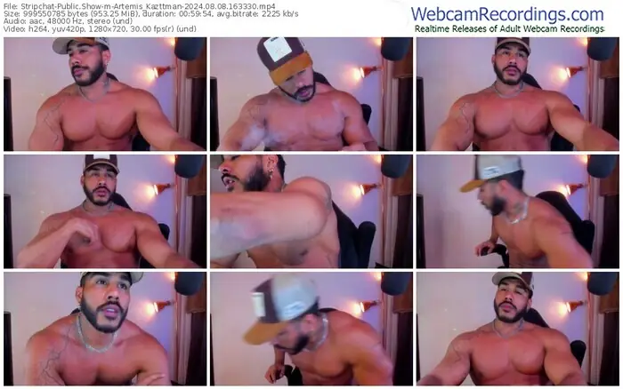 stripchat-artemis_kazttman-08-08-2024-16-33-30