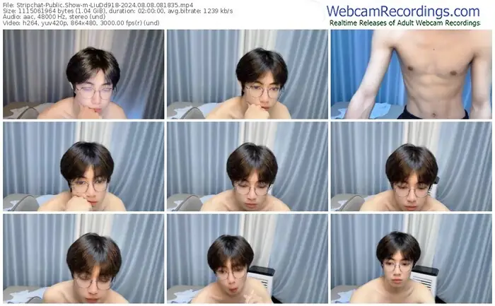 stripchat-liudd918-08-08-2024-08-18-35