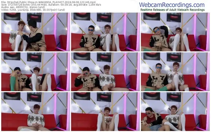 stripchat-wakanda_playhot-08-08-2024-12-11-46