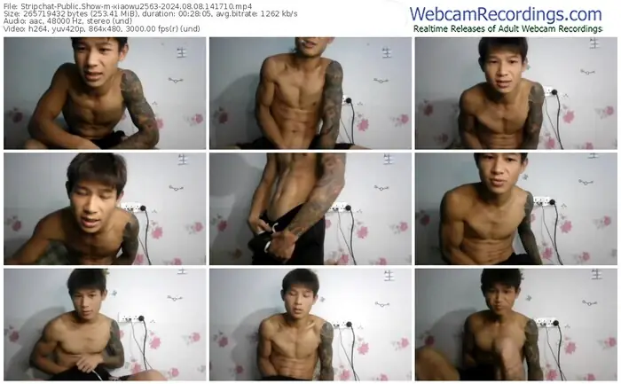 stripchat-xiaowu2563-08-08-2024-14-17-10