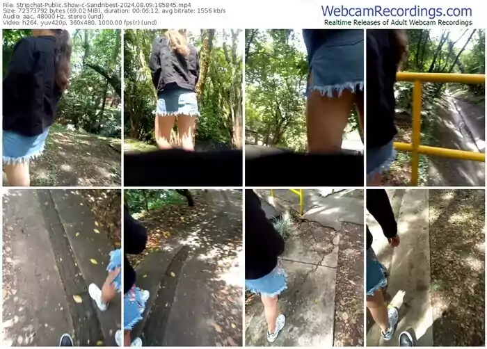 stripchat-sandribest-08-09-2024-18-58-45