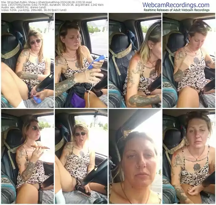 stripchat-sheissomething-08-09-2024-22-31-32