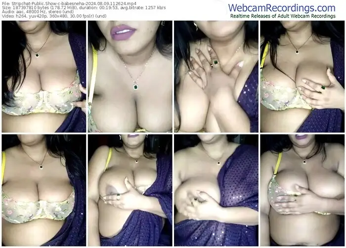 stripchat-babesneha-08-09-2024-11-26-24