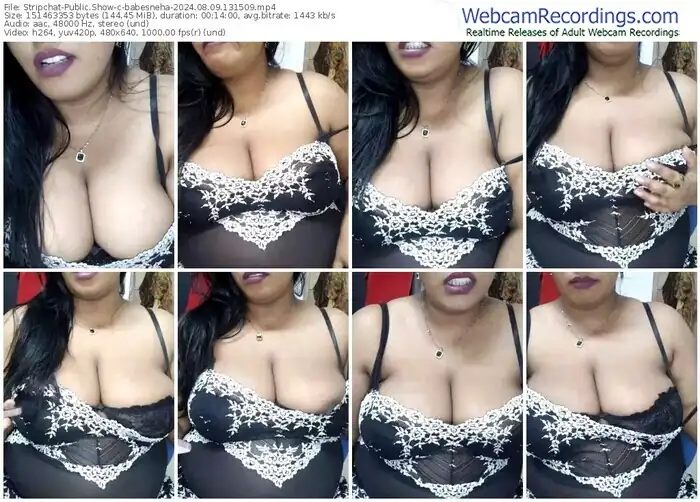 stripchat-babesneha-08-09-2024-13-15-09