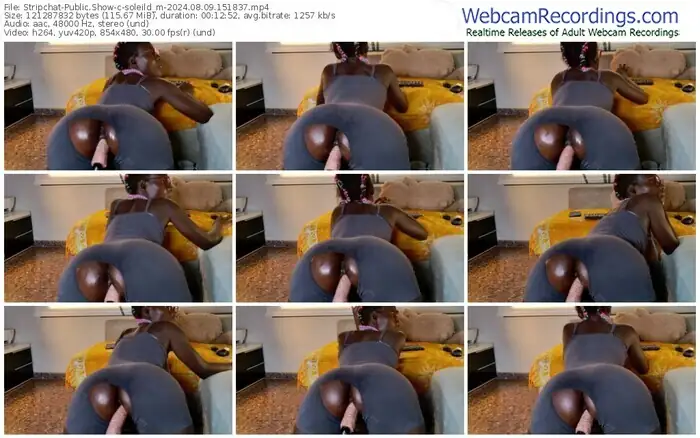 stripchat-soleild_m-08-09-2024-15-18-37