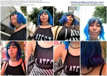 stripchat-gerallfoxxx-08-09-2024-11-56-04