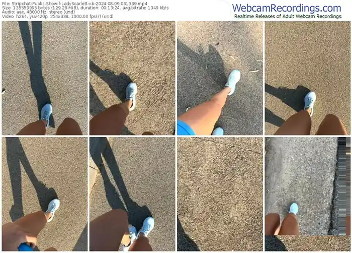 stripchat-ladyscarlett-xk-08-09-2024-06-13-39