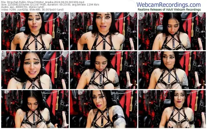 stripchat-mister_aradia-08-09-2024-00-03-09