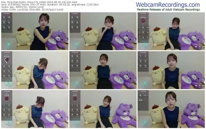stripchat-n_hibiki-08-09-2024-16-13-24