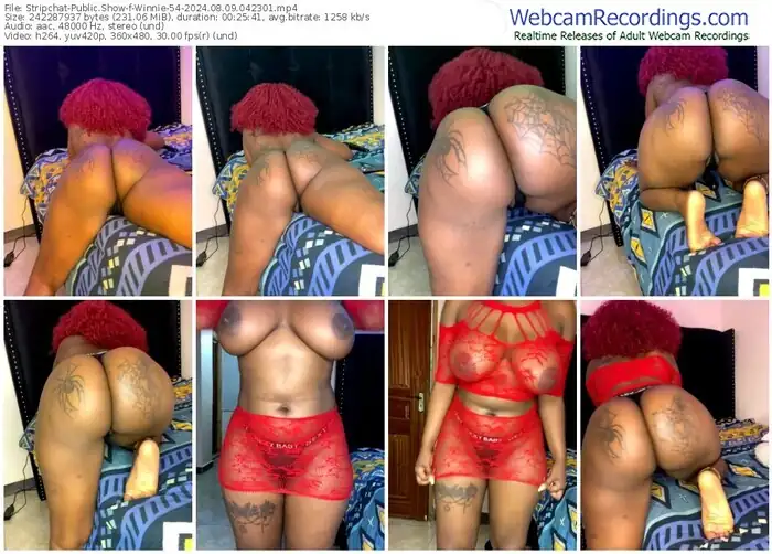 stripchat-winnie-54-08-09-2024-04-23-01