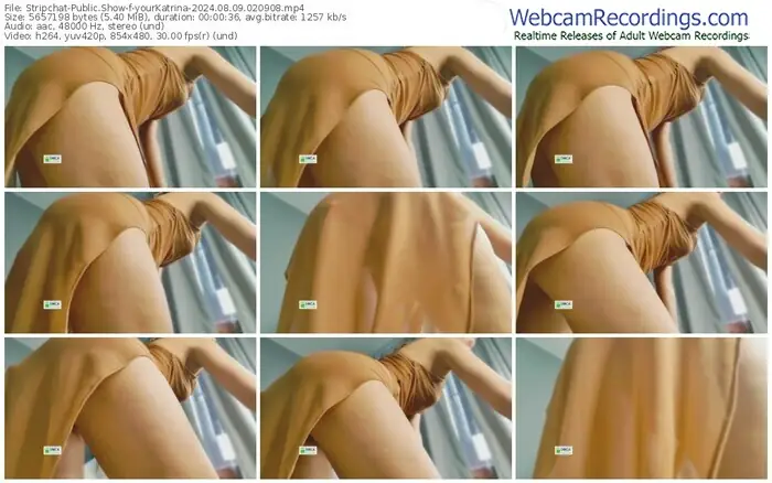 stripchat-yourkatrina-08-09-2024-02-09-08