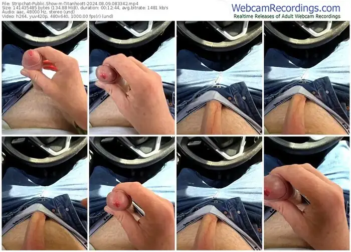 stripchat-titanhoott-08-09-2024-08-33-42